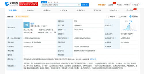 蚂蚁科技成立蚂答信息服务公司，深化信息系统集成服务布局